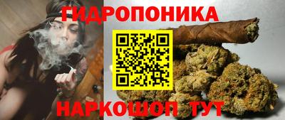 твердый Гусев