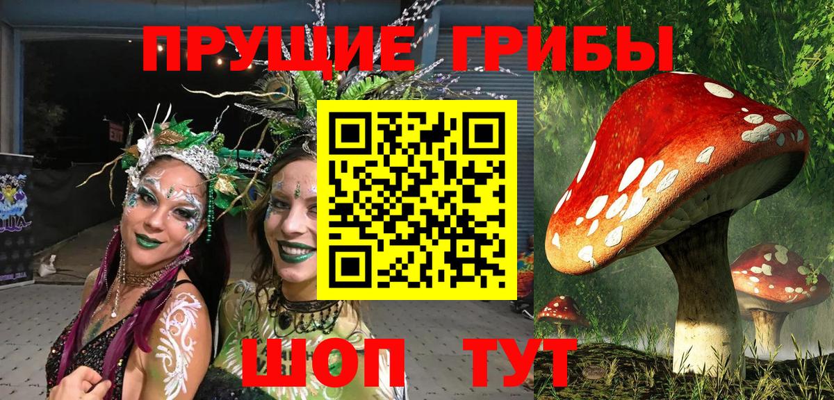 Псилоцибиновые грибы Cubensis  Вход с VPN  Псилоцибиновые грибы прущие грибы  Мурманск 